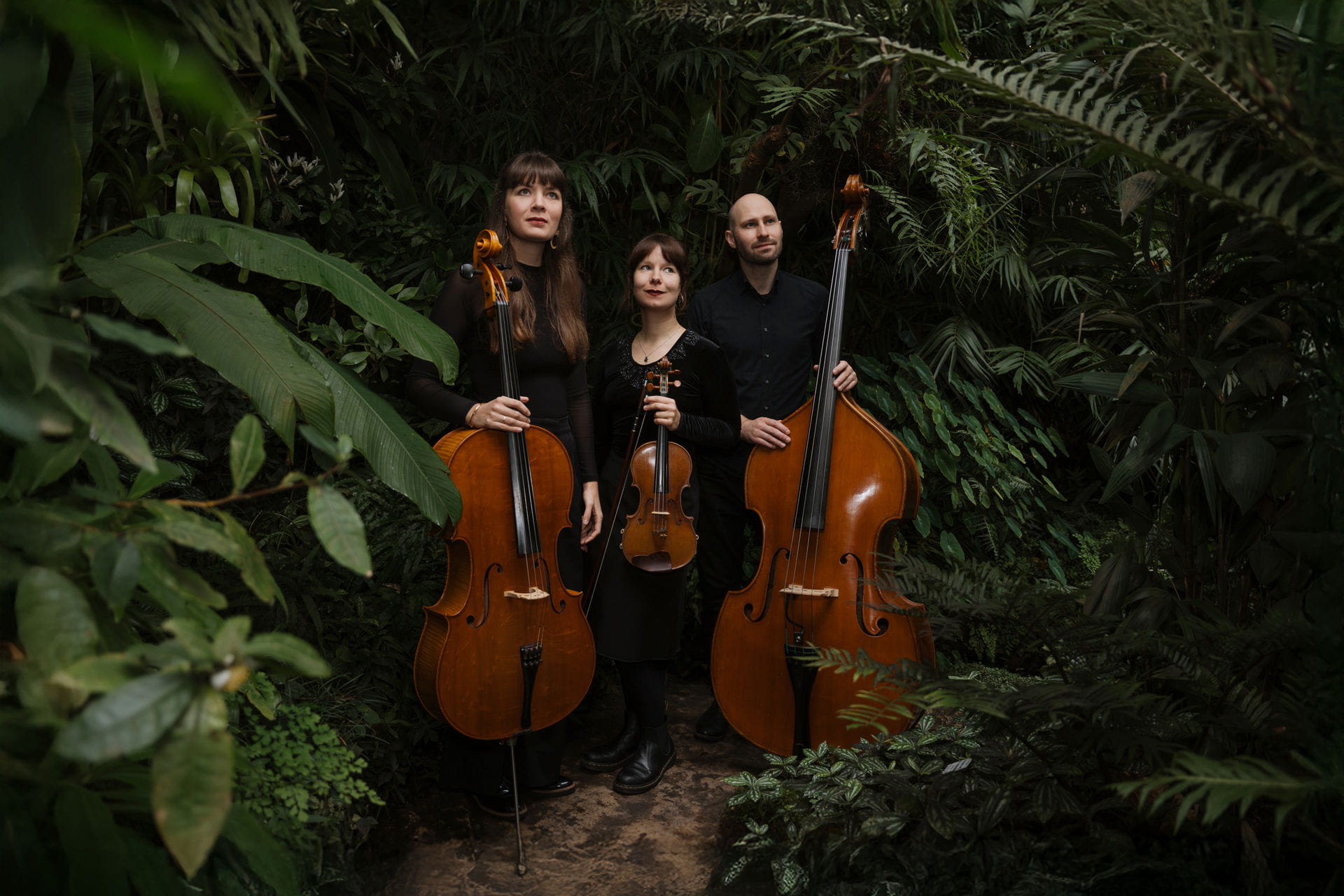 1 – IdaBaumann-business-musiker-musicians-streicher-botanischer-garten-erlangen-bayreuth-kuenstler-kuenstlerportrait-kreativIdaBaumann-triovier-band-bandfotos-29